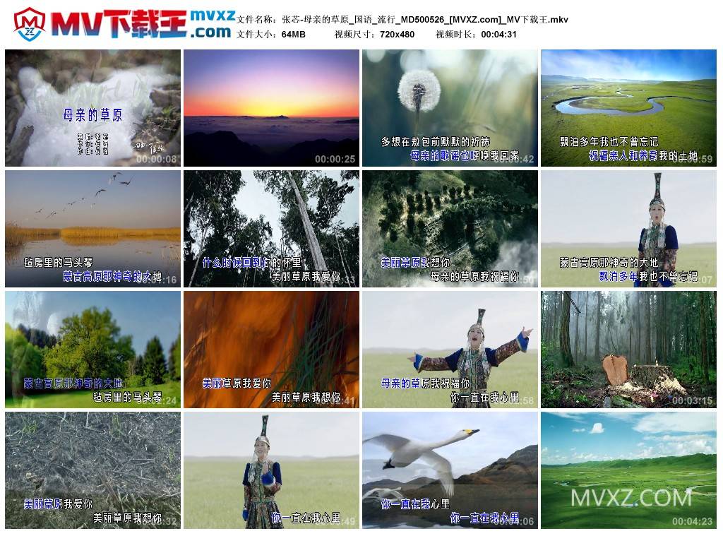 张芯-母亲的草原_国语_流行_MD500526
